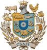 CSAFI
